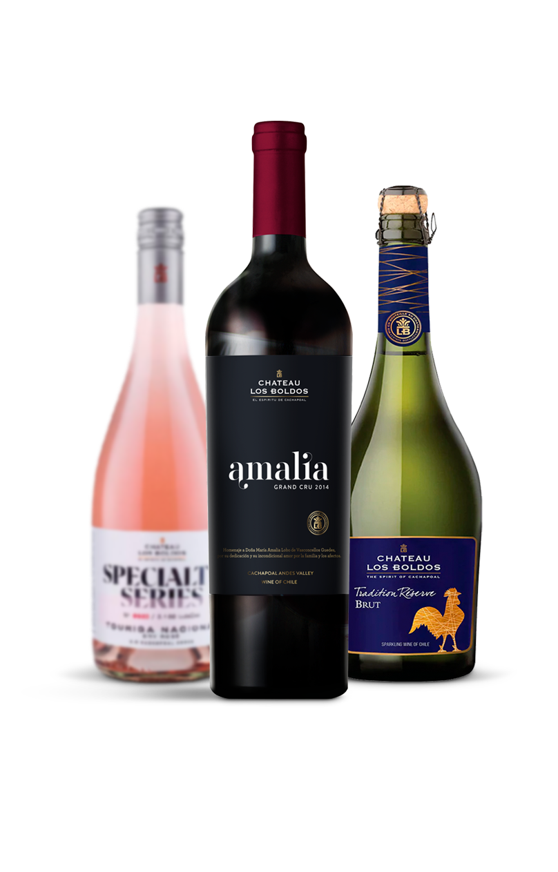 Bodega Chateau Los Boldos